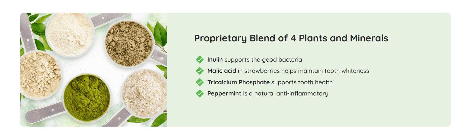 prodentim ingredients