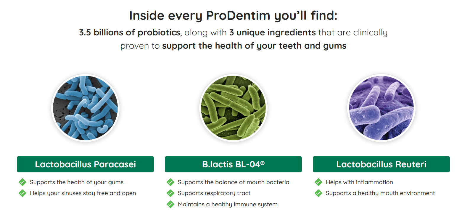 prodentim ingredients